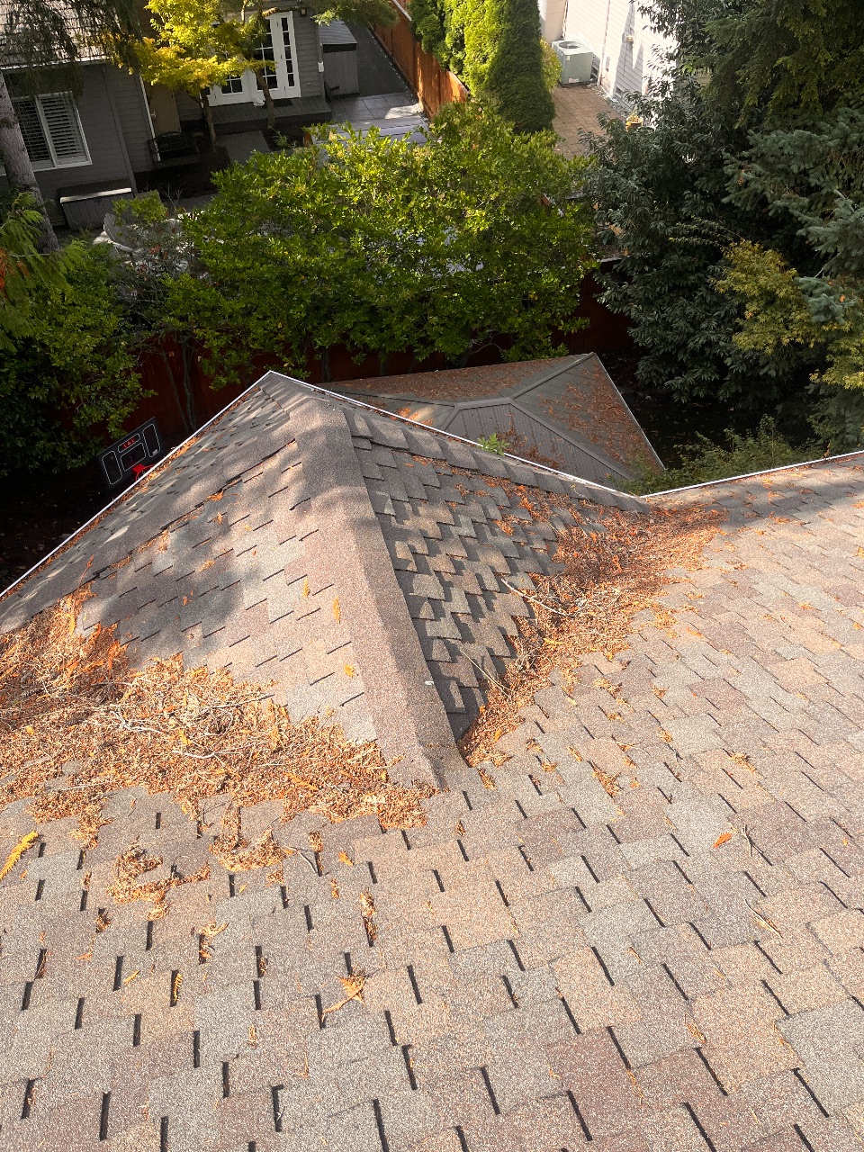 Gutter Cleaning before photo from a recent Xzavier's job