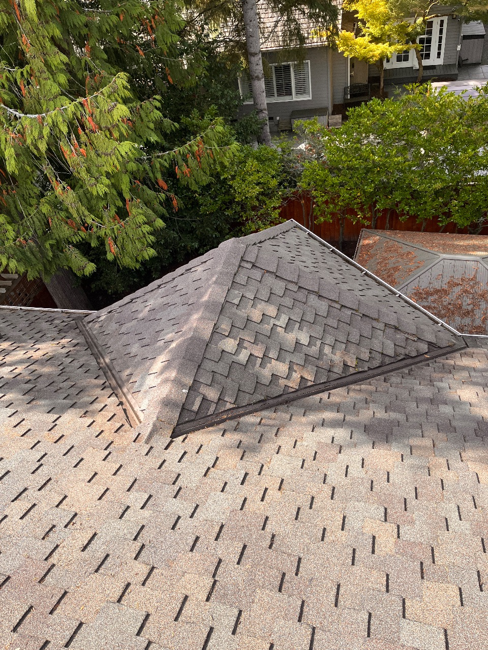 Gutter Cleaning after photo from a recent Xzavier's job