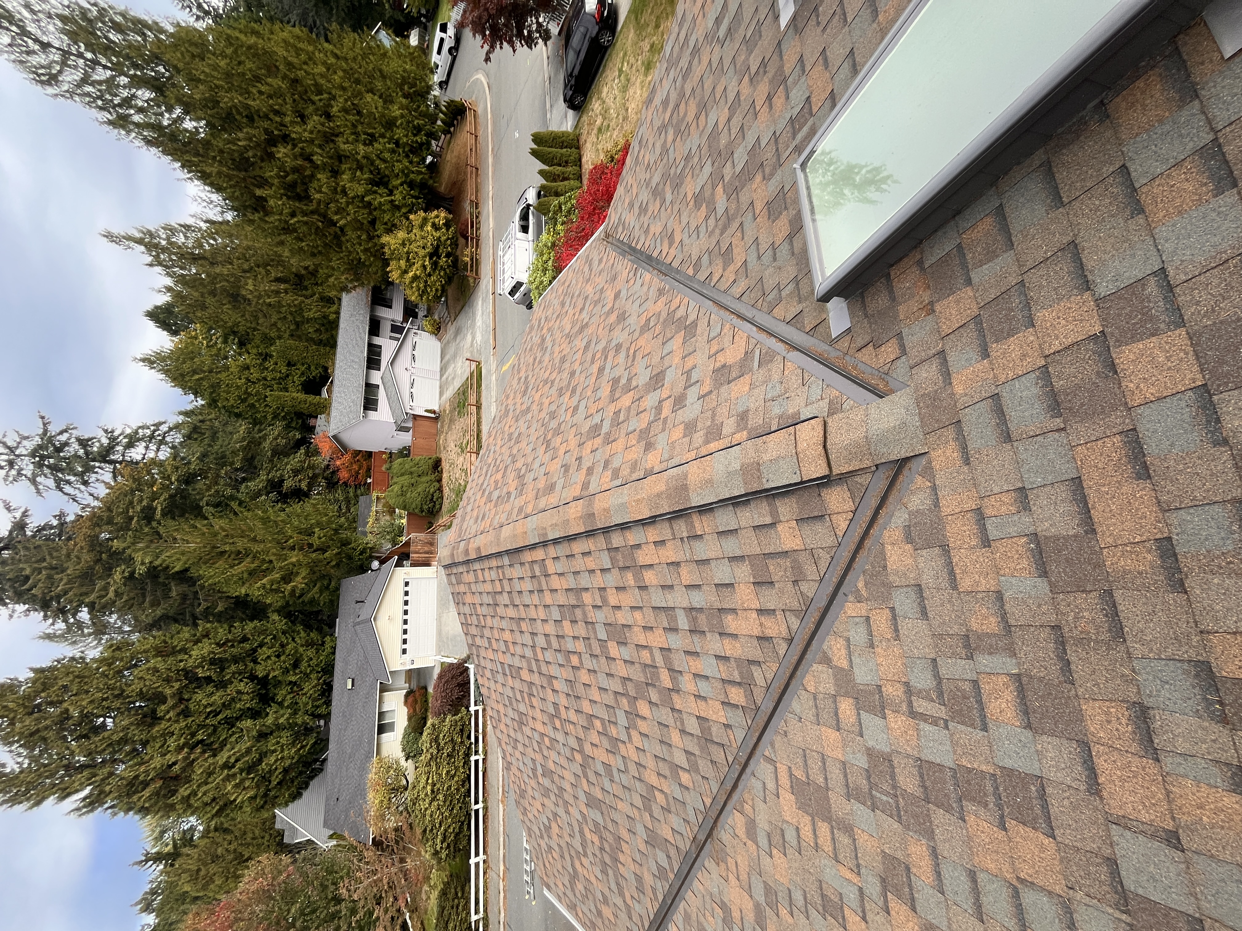 Roof Cleaning after photo from a recent Xzavier's job