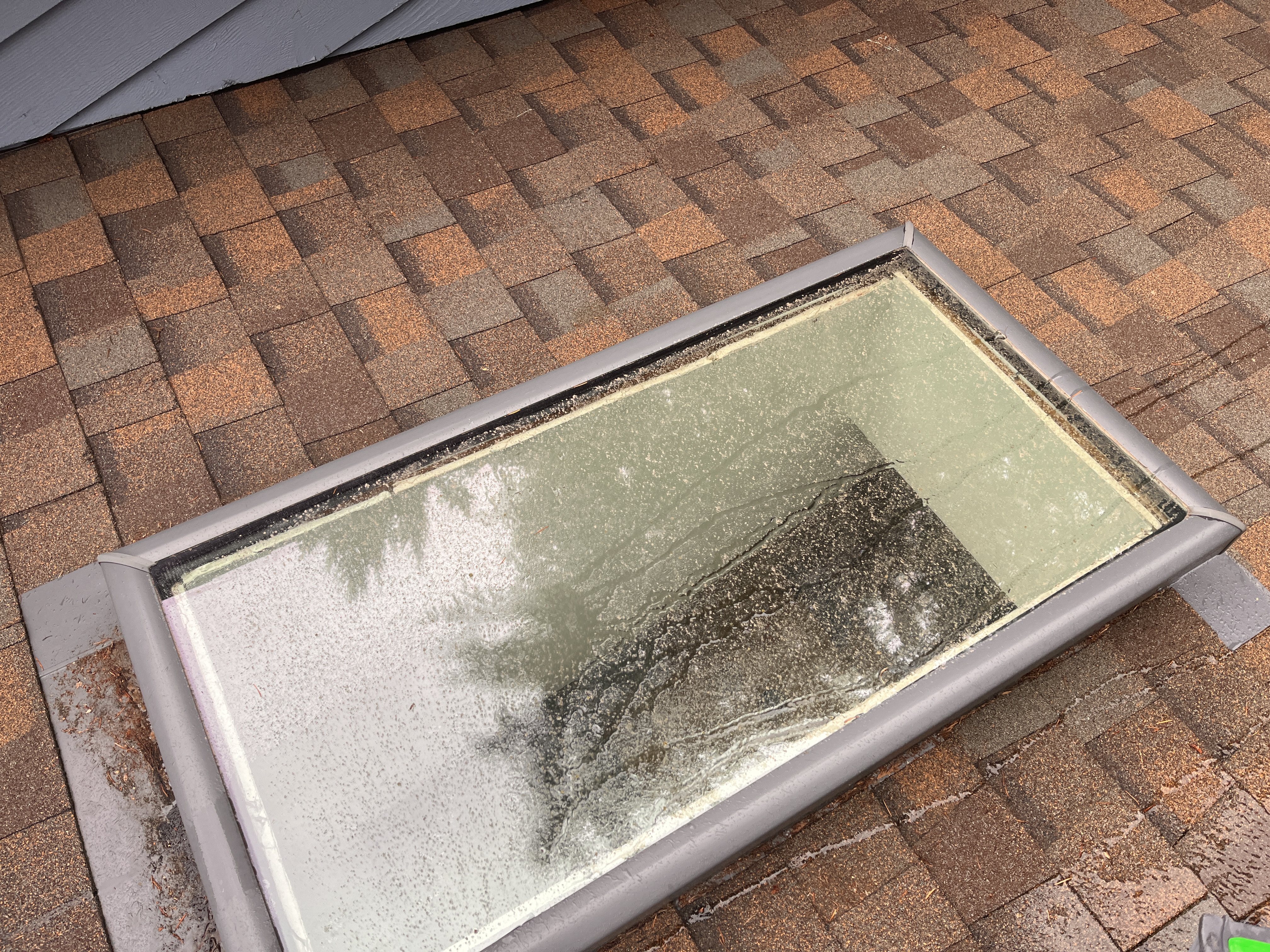 Window Cleaning before photo from a recent Xzavier's job