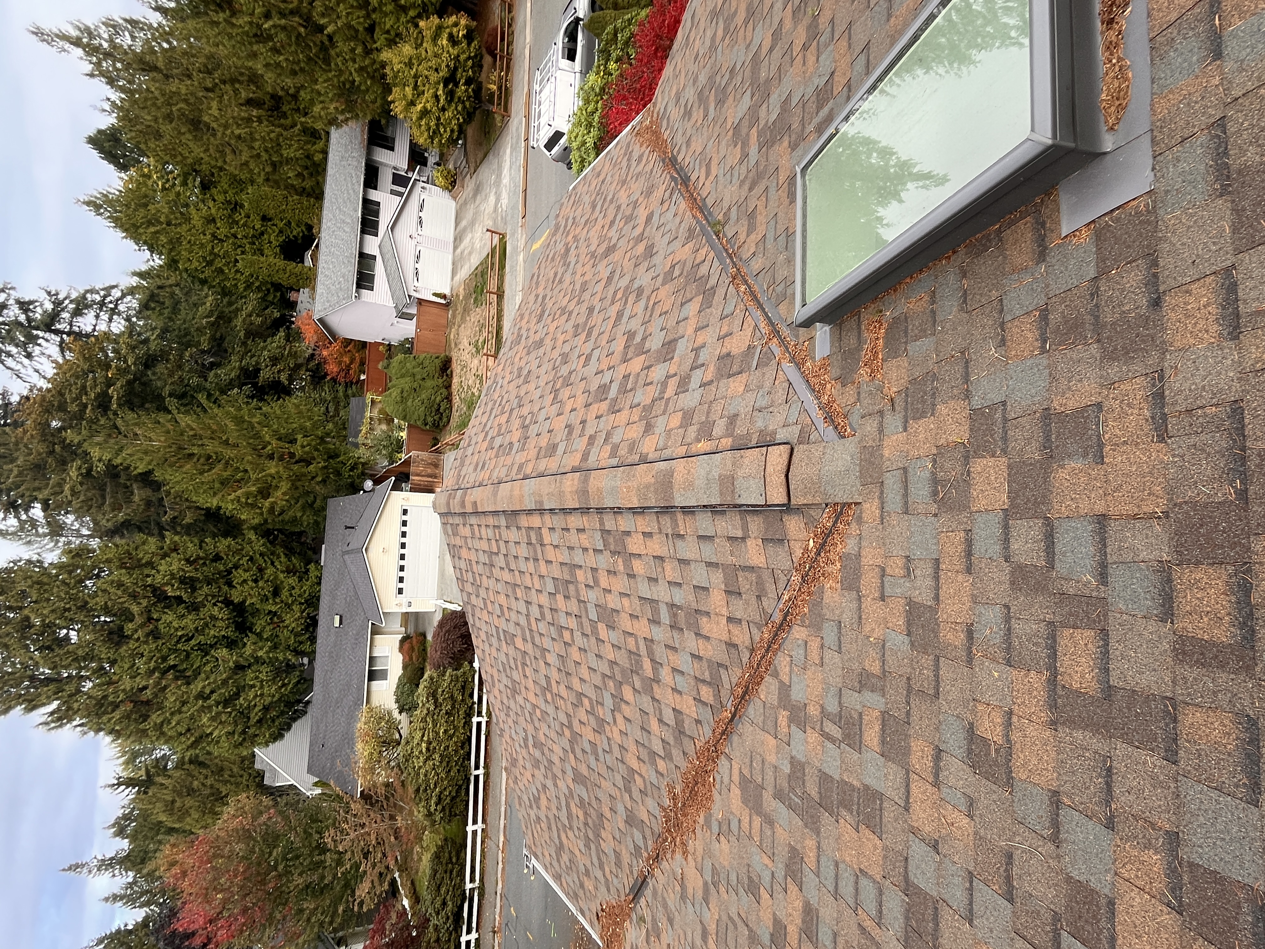 Roof Cleaning before photo from a recent Xzavier's job
