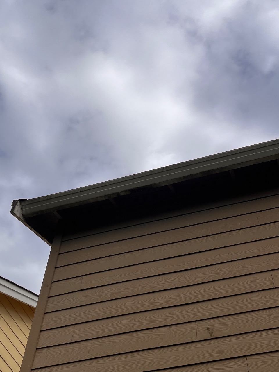 Gutter Cleaning before photo from a recent Xzavier's job