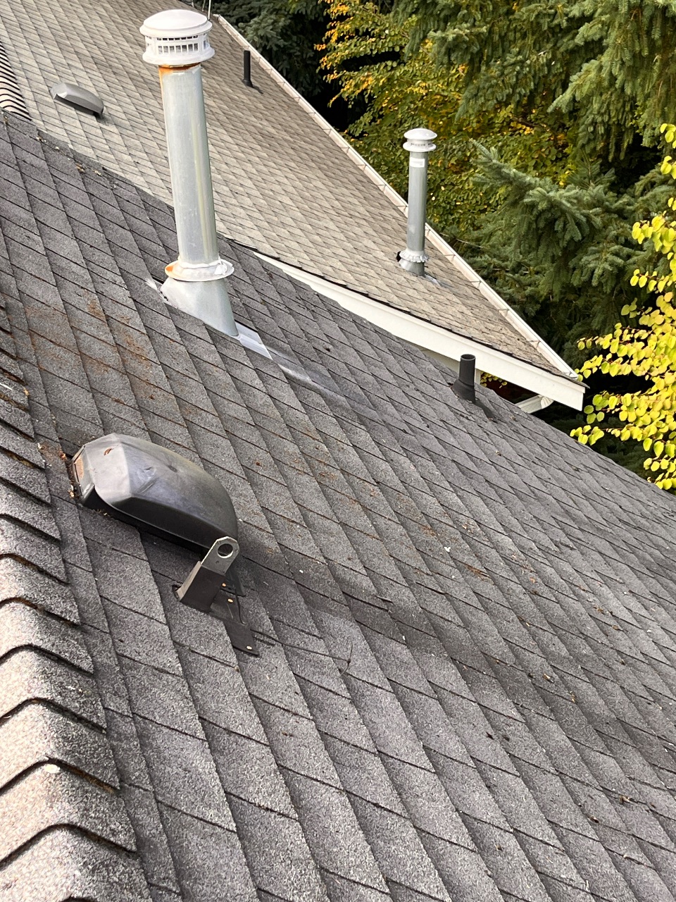 Gutter Cleaning after photo from a recent Xzavier's job
