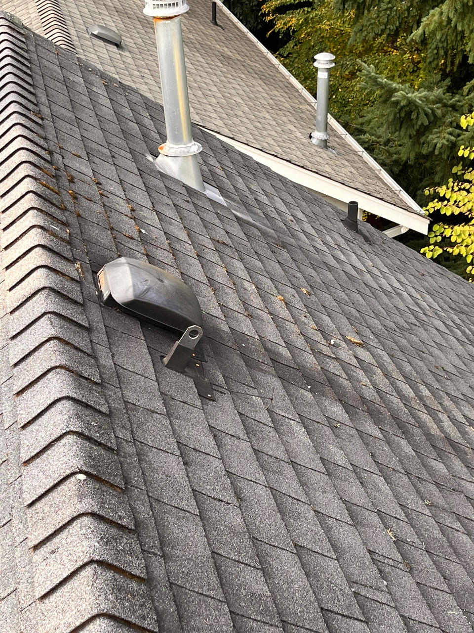 Gutter Cleaning before photo from a recent Xzavier's job